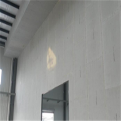 洞口宁波ALC板|EPS加气板隔墙与混凝土整浇联接的实验研讨